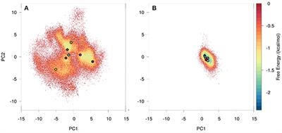 Characterizing the Diversity of the CDR-H3 Loop Conformational Ensembles in Relationship to Antibody Binding Properties